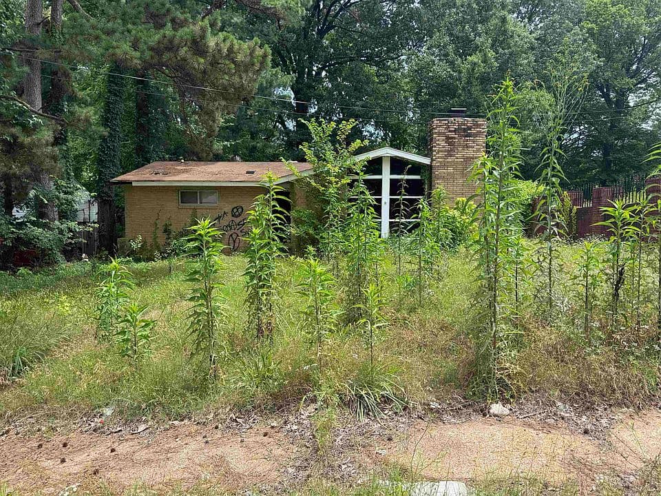 3522 Debby Dr